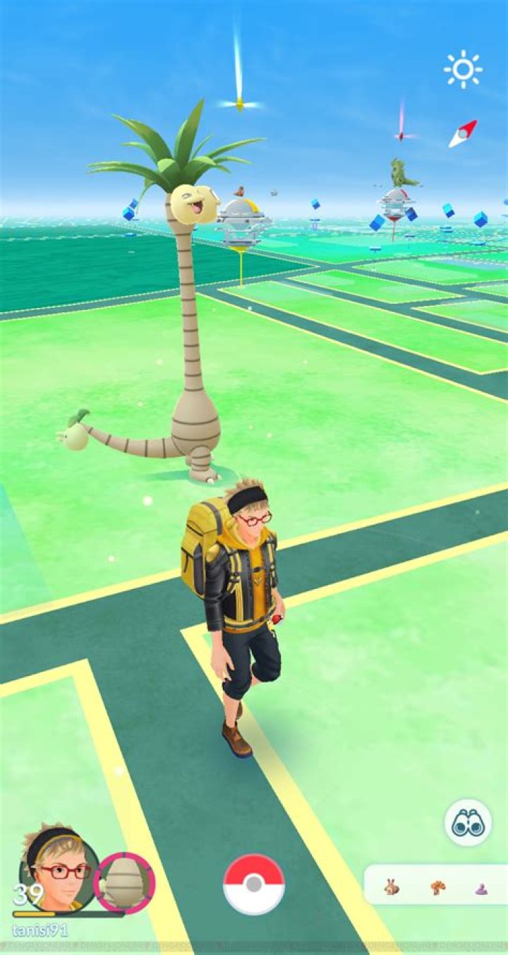 ポケモンGOで相棒を設定し、進化ボタンが表示される場面のイメージ