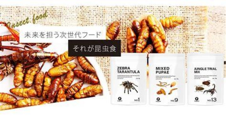 昆虫食の加工品パッケージのイメージ