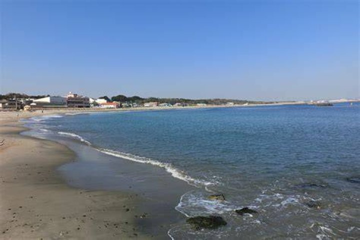阿字ヶ浦海水浴場の海水浴エリアの雰囲気が分かる写真