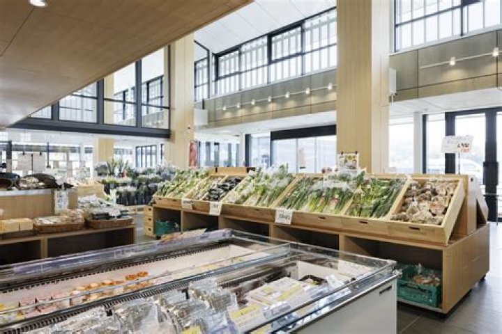 道の駅 関川を徹底ガイド｜見どころ・アクセス・混雑回避まで