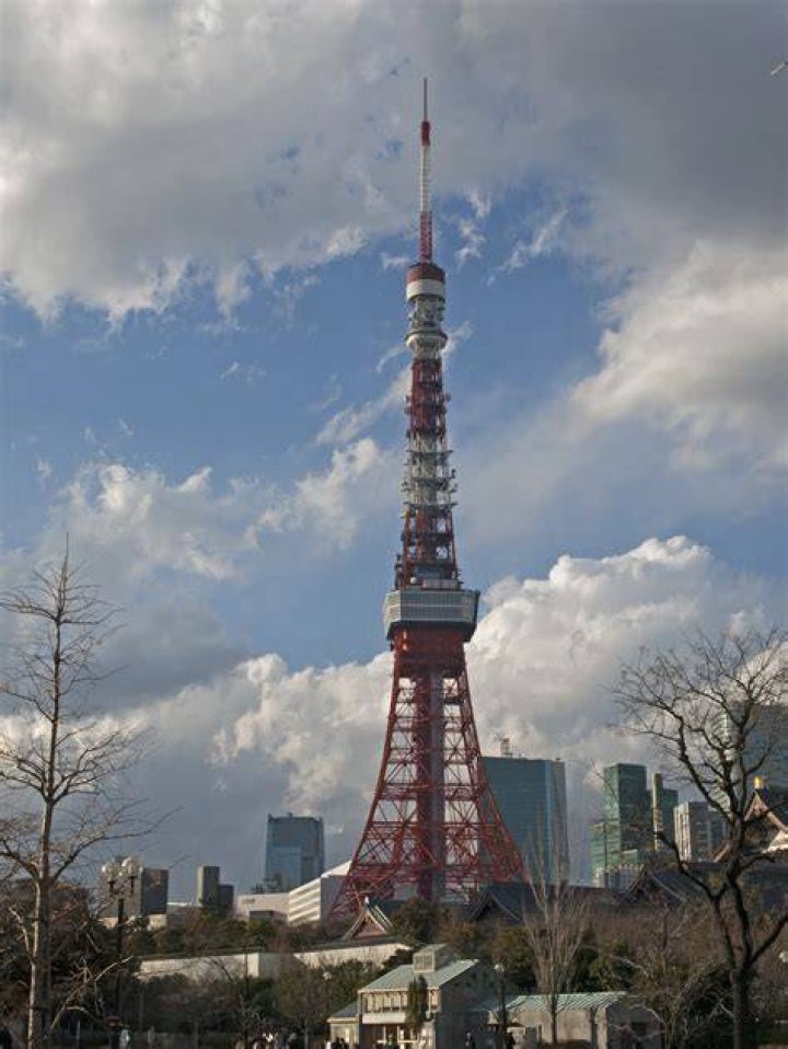 東京の1か月天気はどこまで当たる？気象庁の季節予報の見方